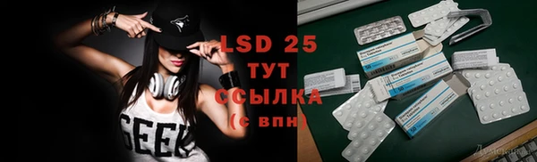 прущие грибы Баксан