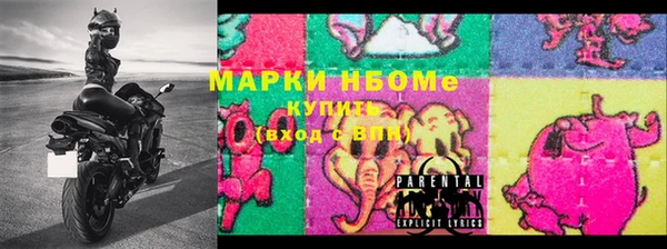 прущие грибы Баксан