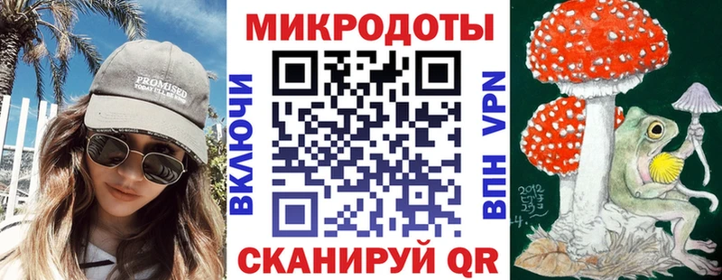 Псилоцибиновые грибы Psilocybe  Гаврилов-Ям 